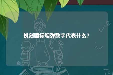 悦刻国标烟弹数字代表什么？