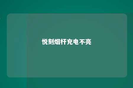 悦刻烟杆充电不亮